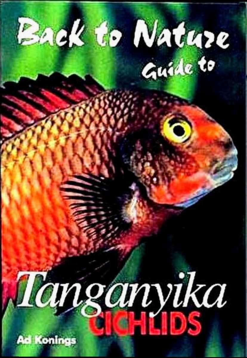 超安い タンガニイカ トロフェウス フロントーサ 生態 熱帯魚