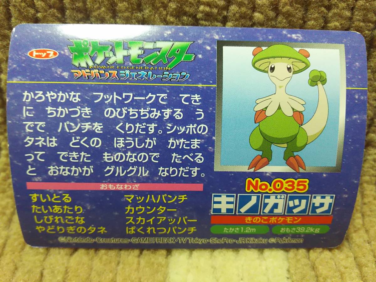 Bibian 比比昂 - ポケットモンスター アドバンス Bibian 比比昂 - ポケットモンスター アドバンス