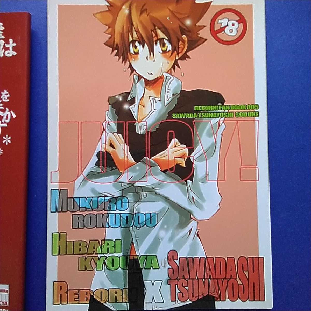  Katekyo Hitman REBORN! журнал узкого круга литераторов hi Ba-Tsu namktsuna dono внизу небо внизу ....