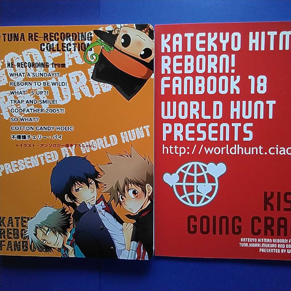  Katekyo Hitman REBORN! журнал узкого круга литераторов tsuna получить world hunt есть ..