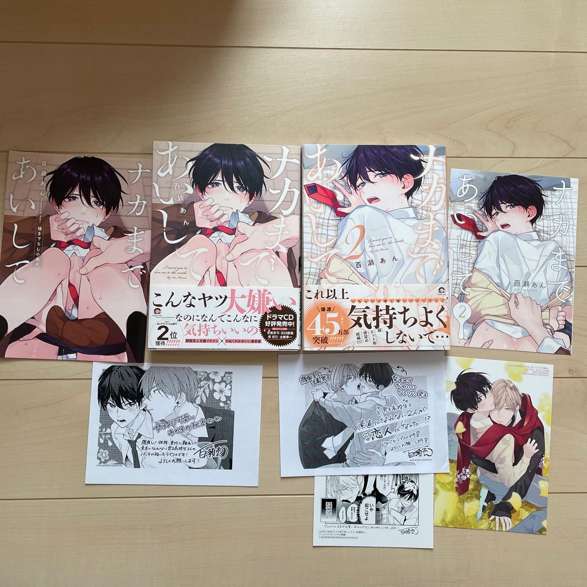 ナカまであいして 百瀬あん|PayPayフリマ