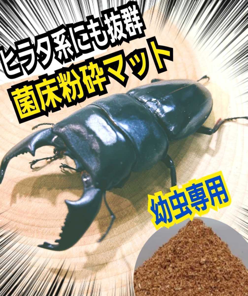 クワガタ幼虫の餌 改良版 菌床粉砕マット【6袋】瓶に詰めるだけ