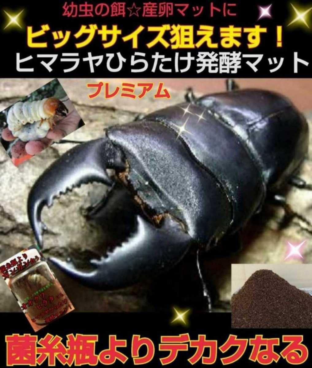  stag beetle larva .. turned . first of all this .! pudding cup entering premium 3 next departure . mat [50 set ] the smallest particle .mo Limo li meal ..! special amino acid go in 