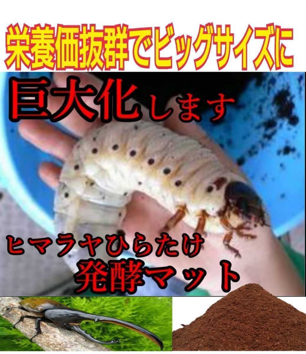 カブトムシの幼虫を入れるだけ！便利です！プレミアム発酵マット4400mlケース付き【3セット】3次発酵！栄養添加剤・共生バクテリア３倍配合_画像10