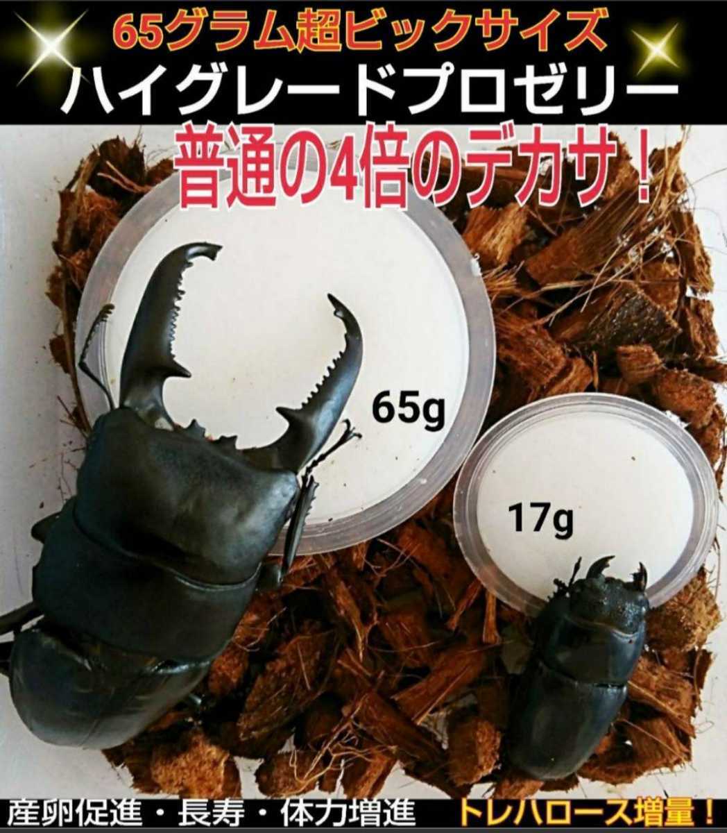  super big size! extra-large 65g[200 piece ] ingredient ....... highest peak production egg ..* length .* body power increase . stag beetle jelly rhinoceros beetle jelly insect jelly 