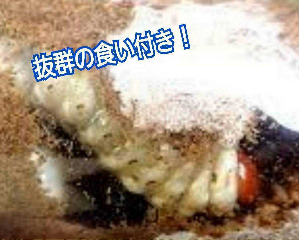 売り切り御免!】 極上!カワラタケ菌糸瓶【9本】特大1500ml 特殊