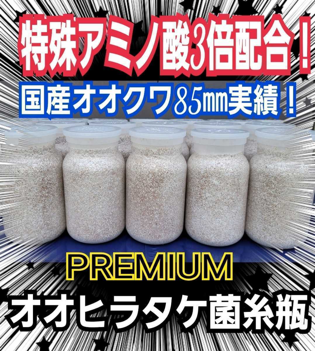 極上☆オオヒラタケ菌糸瓶1100ml【5本】トレハロース・ローヤルゼリー・アルギニン強化配合　1番菌(初菌)のみで作成　クヌギ100％オガ原料_画像4