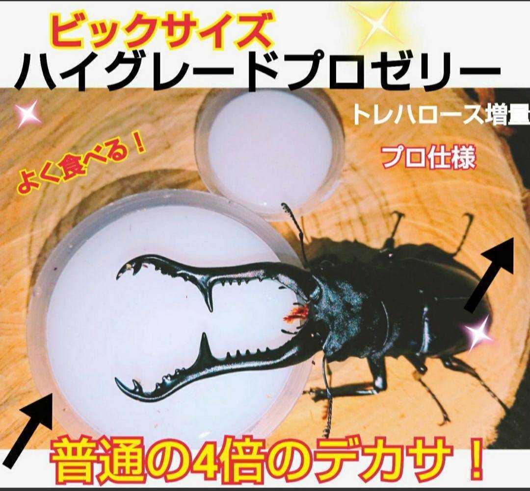  super big size! extra-large 65g[200 piece ] ingredient ....... highest peak production egg ..* length .* body power increase . stag beetle jelly rhinoceros beetle jelly insect jelly 