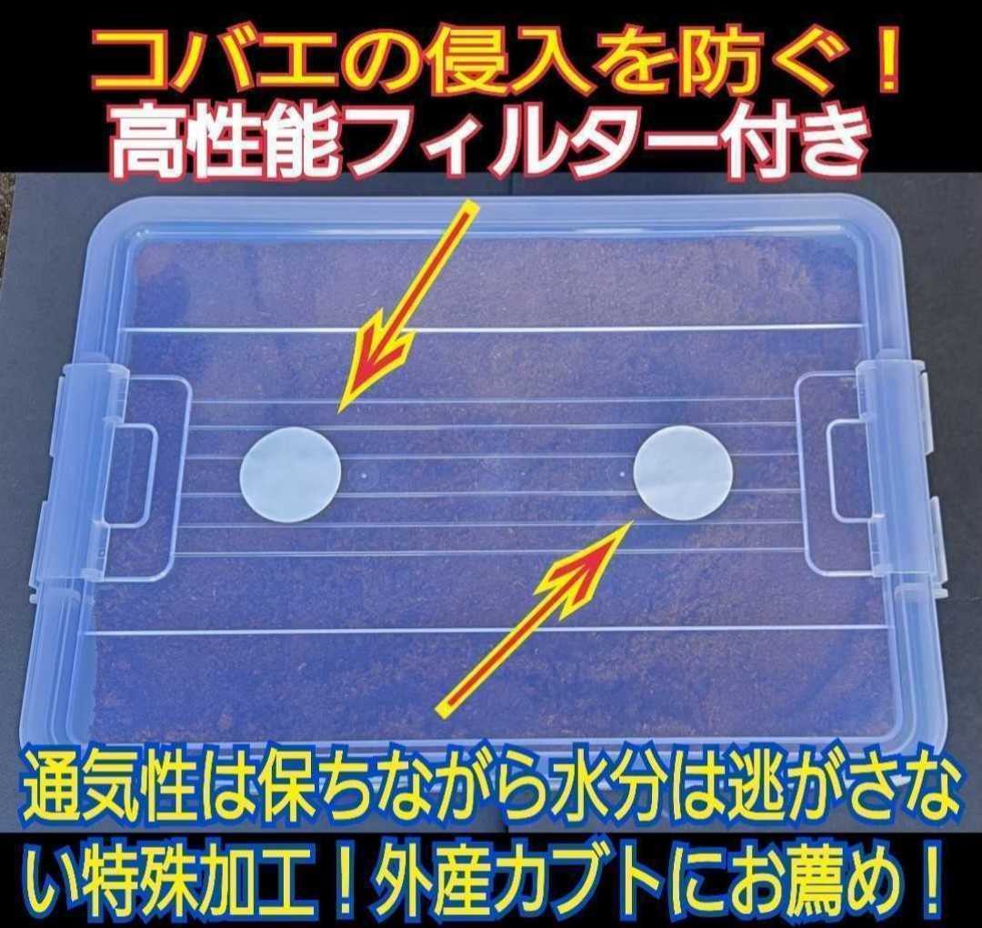 幼虫を入れるだけ！便利！特大ケース入り!プレミアム発酵マット　深い容器なので大型カブトムシ羽化できる！コバエ防止特殊フィルター付き_画像7