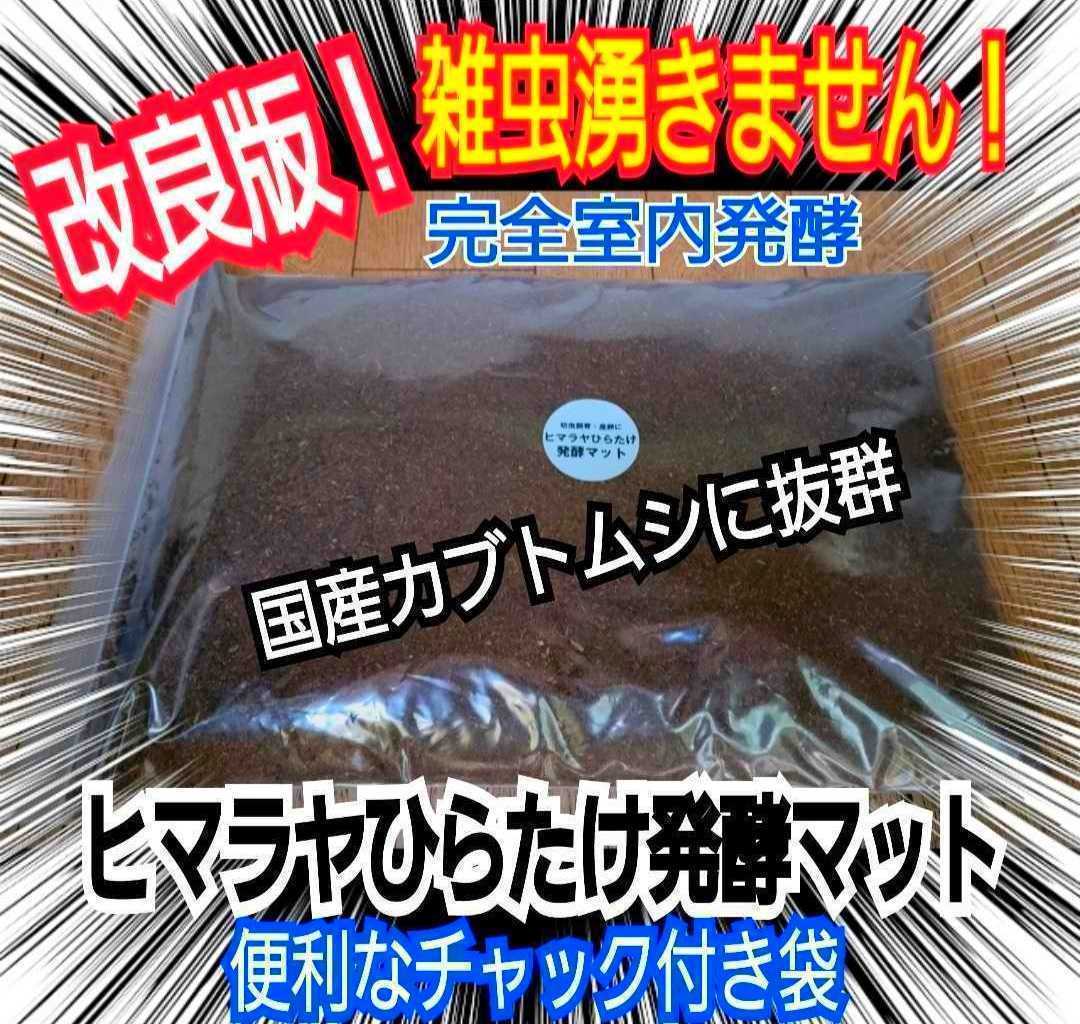 カブトムシ幼虫が大きくなる!改良版 ヒマラヤひらたけ発酵 カブトムシ幼虫が大きくなる!改良版 ヒマラヤひらたけ発酵
