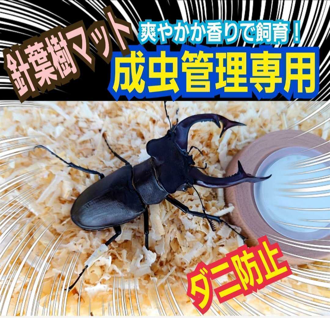 カブトムシ?クワガタの成蟲飼育はコレ！爽やかな香りの針葉樹クリーンマット　ケース內(nèi)が明るくなり生體がカッコ良く見える！ダニ防止にも