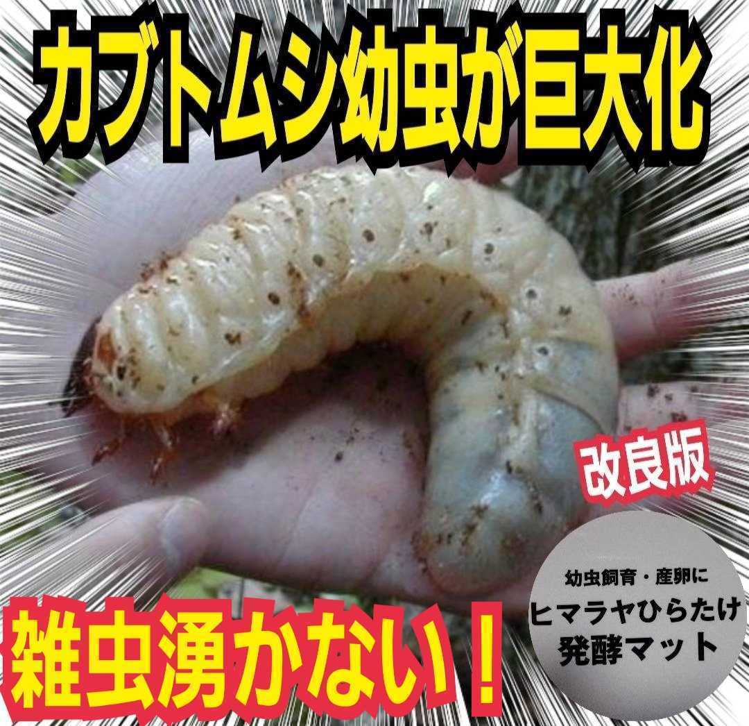 カブトムシ幼虫が大きくなる！改良版　発酵マット【たっぷり９袋】便利なチャック付き袋　産卵にも抜群　栄養添加剤配合　雑虫がわかない