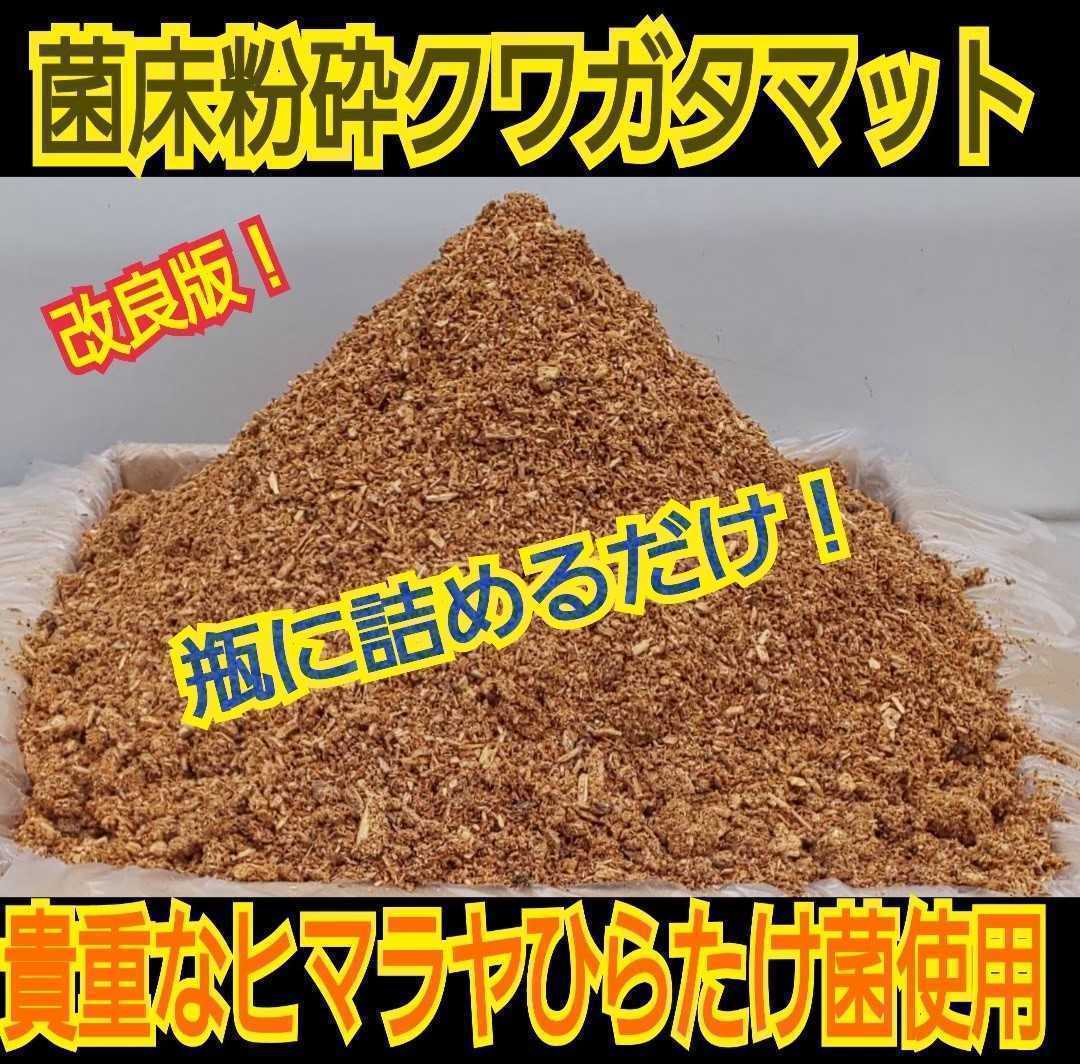 . thread bin buying ... cheap! improvement version!. floor crushing stag beetle mat [4L] bin .... only! oo stag beetle, common ta,nijiiro. the first . from feather . till OK