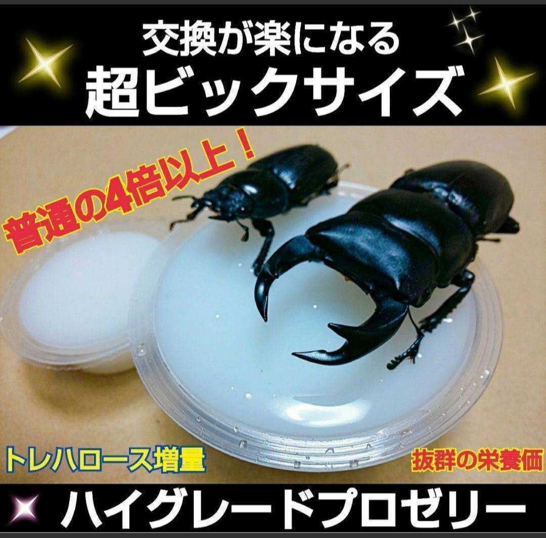  super big size! extra-large 65g[200 piece ] ingredient ....... highest peak production egg ..* length .* body power increase . stag beetle jelly rhinoceros beetle jelly insect jelly 