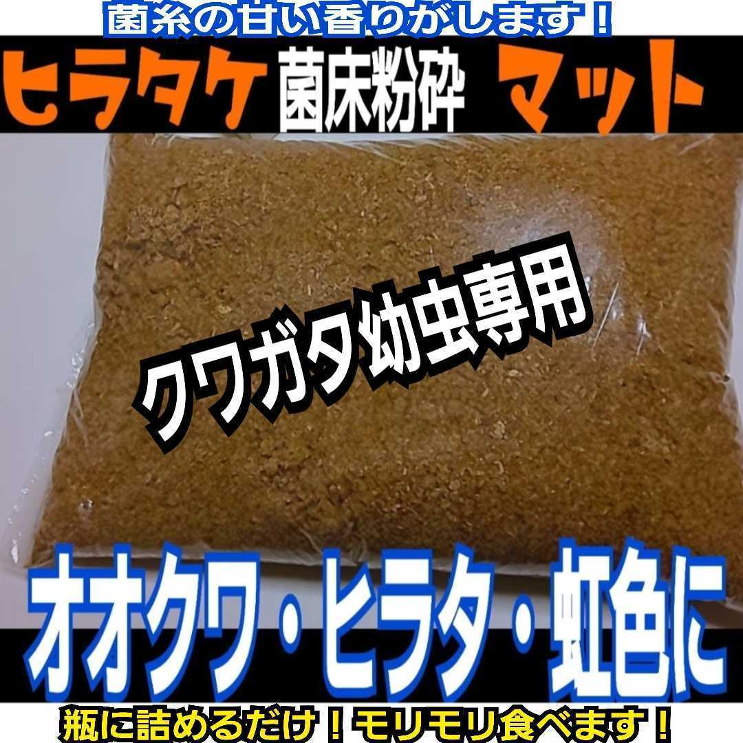 改良版！菌床粉砕クワガタマット　瓶に詰めるだけ！オオクワ、ヒラタ、ニジイロ、ノコギリに！　初令から羽化までOK！菌糸の甘い香りする