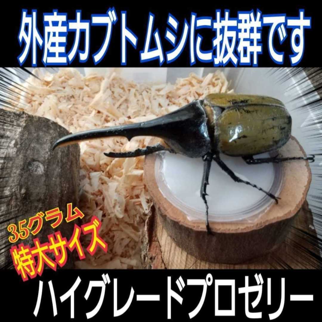  super big size! extra-large 65g[200 piece ] ingredient ....... highest peak production egg ..* length .* body power increase . stag beetle jelly rhinoceros beetle jelly insect jelly 