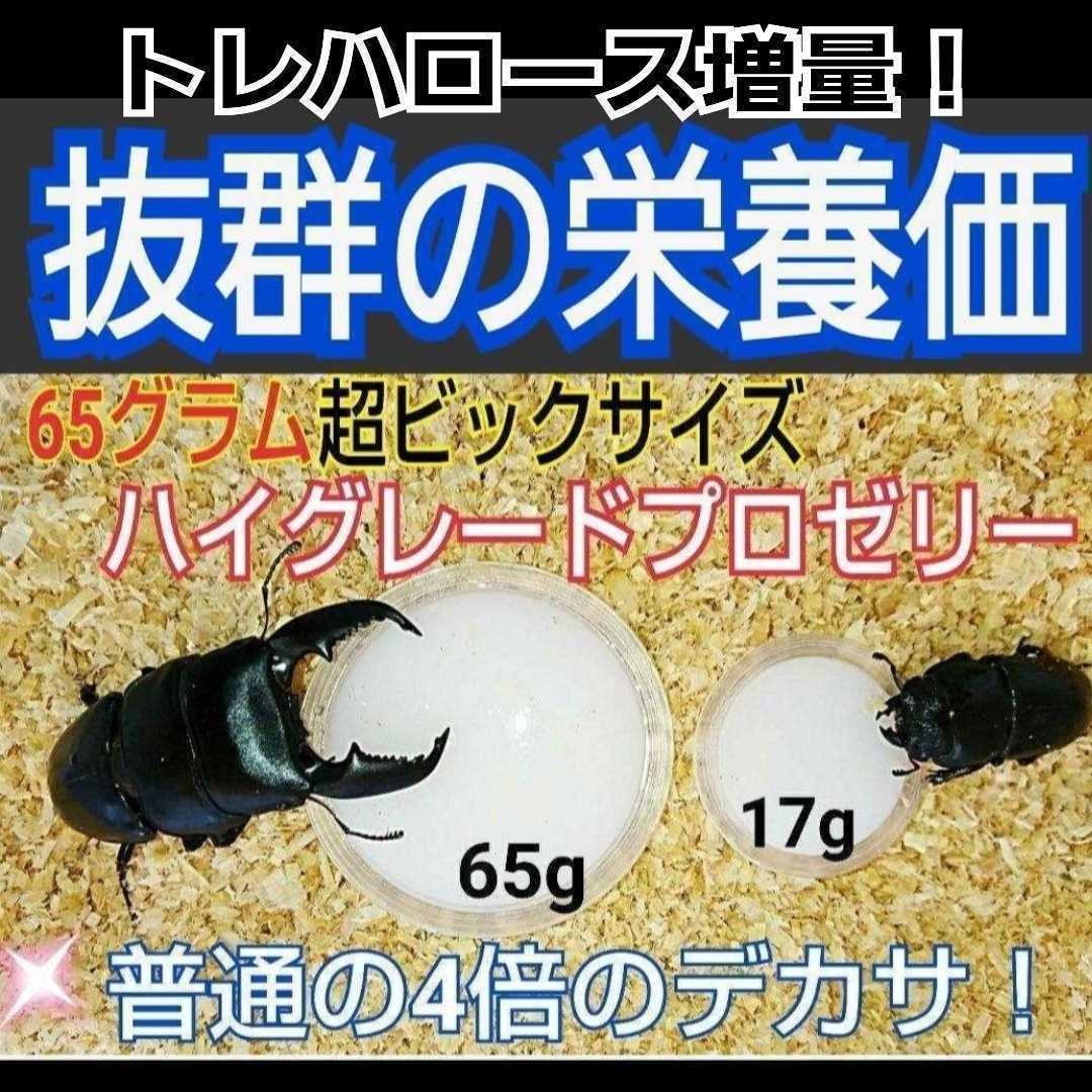 超ビックサイズ 特大65g【300個】ハイグレードカブトムシゼリー 超ビックサイズ 特大65g【300個】ハイグレードカブトムシゼリー