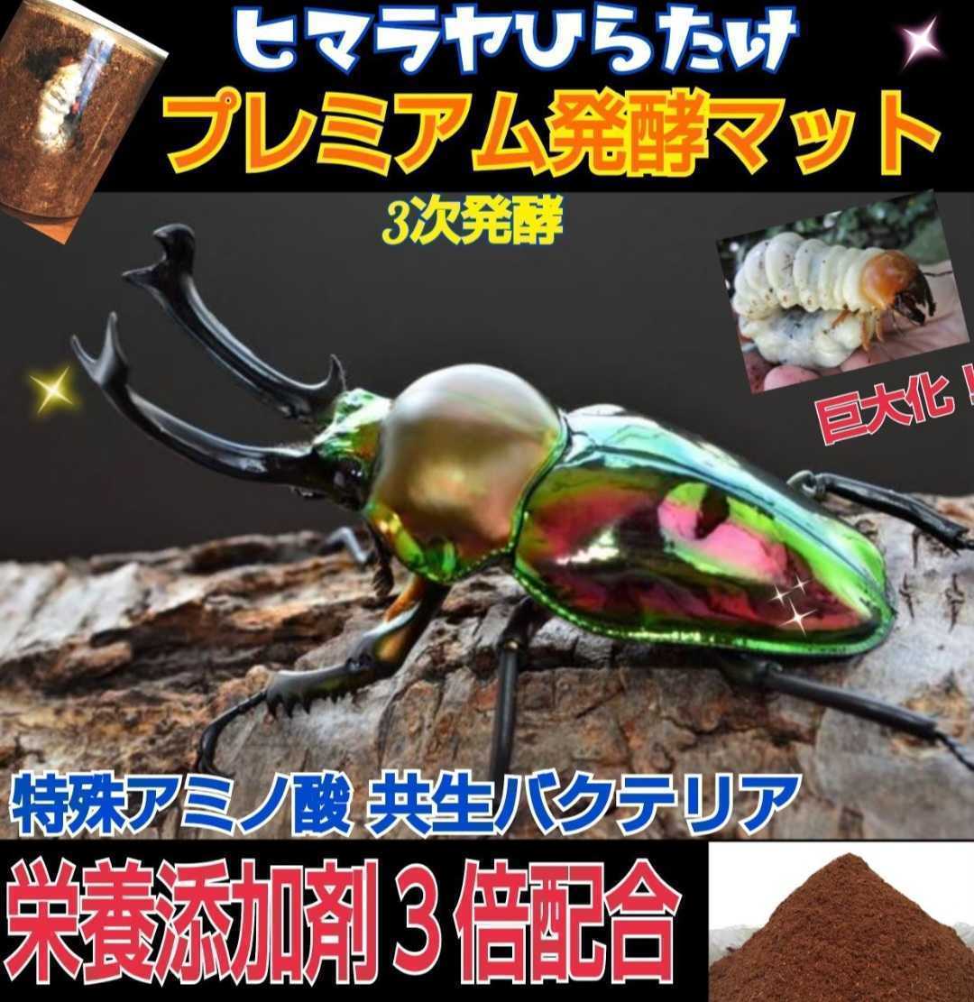 ニジイロクワガタに抜群 進化した プレミアム3次発酵マット【2袋