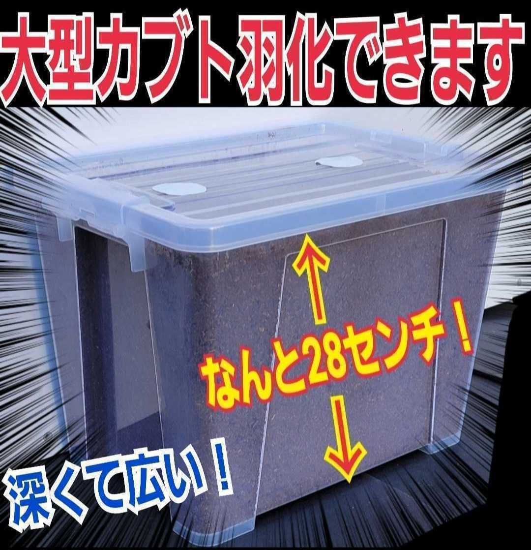 特大ケース入り!プレミアム発酵マット　幼虫を入れるだけ！便利！でかいケースなので大型カブトムシ羽化！コバエ防止特殊フィルター付き_画像1