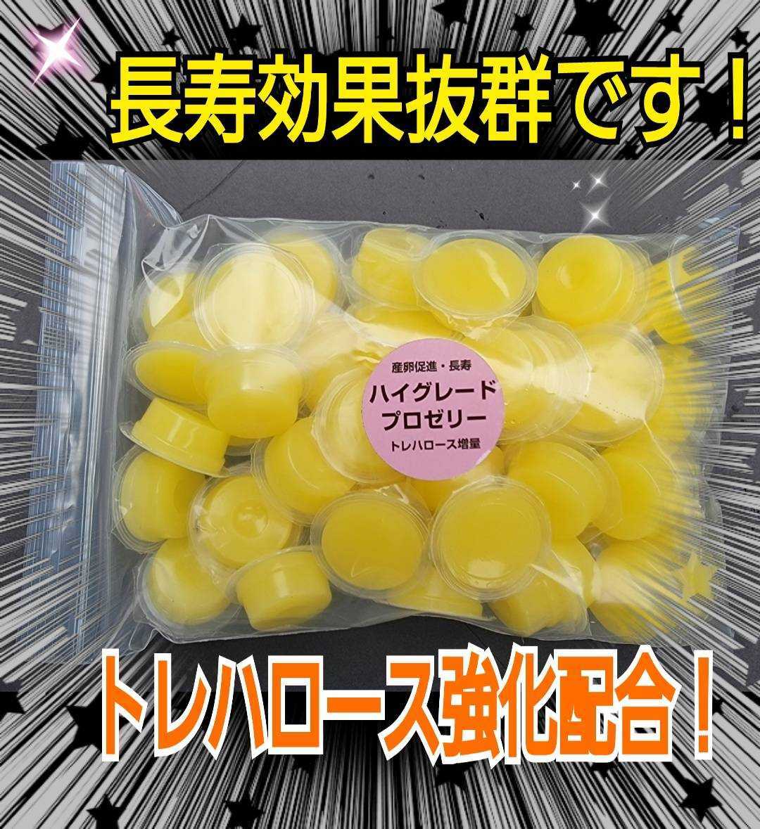  high grade Pro jelly [50 piece insertion ]tore Hello s strengthen! stag beetle, rhinoceros beetle. production egg number up * length . effect . eminent! meal .... wide cup 