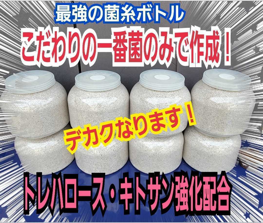 スーパービック　2300ml　ヒマラヤひらたけ菌糸瓶【6本】　外産ヒラタやオオクワ、ギラファなど大型クワガタ専用　トレハロース強化配合！