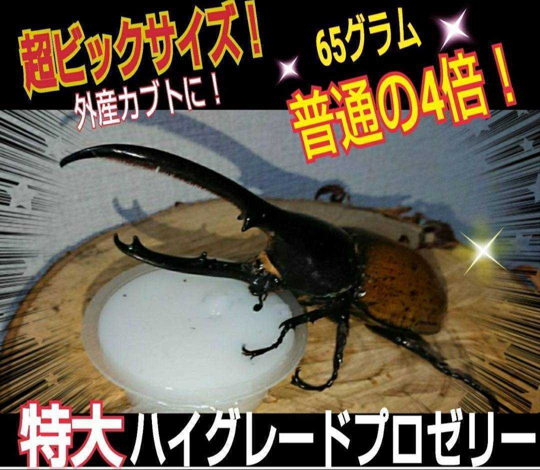  super big size! extra-large 65g[200 piece ] ingredient ....... highest peak production egg ..* length .* body power increase . stag beetle jelly rhinoceros beetle jelly insect jelly 