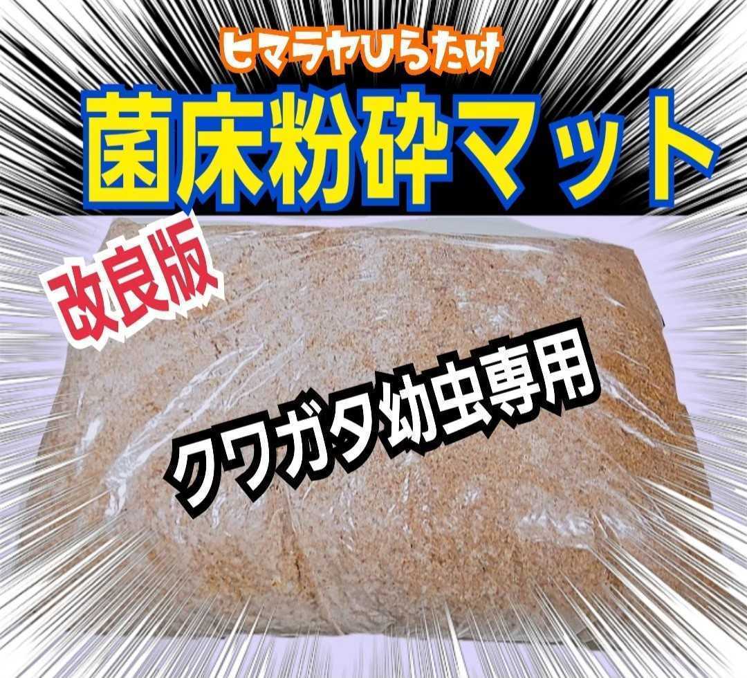 クワガタ幼虫専用　改良版！菌床粉砕マット　瓶に詰めるだけ！　オオクワ、ヒラタ、ニジイロに！　初令から羽化までOK　菌糸の甘い香りする_画像2