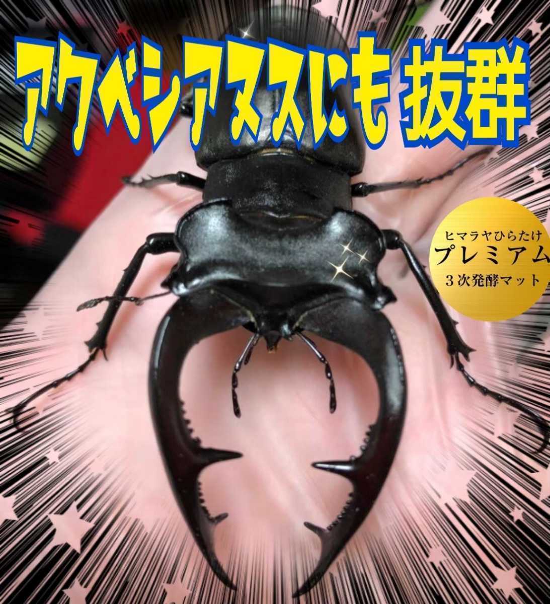 ヒラタクワガタに抜群！　進化した！プレミアム3次発酵マット5袋微粒子　トレハロース配合　産卵にも最適　ギネスサイズ羽化実績あり