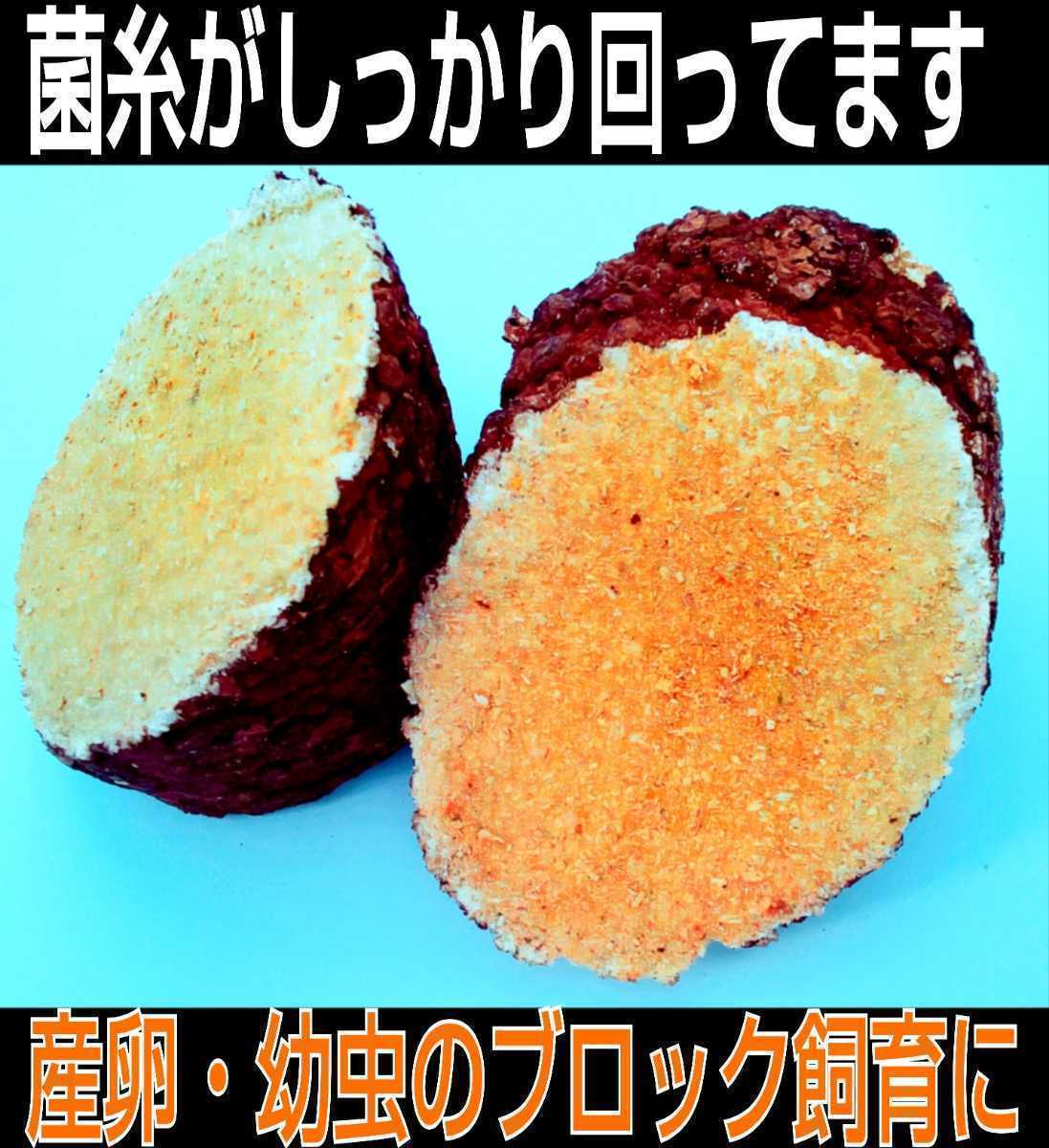 カブトムシ幼虫の栄養強化に！椎茸菌床ブロック【3個】クヌギ100％ ブロックのまま発酵マットに埋め込むだけで幼虫がモリモリ食べます！_画像7