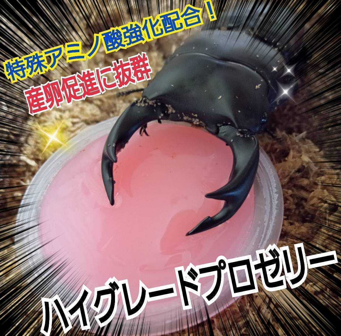 極上！ハイグレード　クワガタゼリー　カブトムシゼリー【300個】トレハロース強化！産卵数アップ、長寿効果に！食べやすいワイドカップ　_画像5