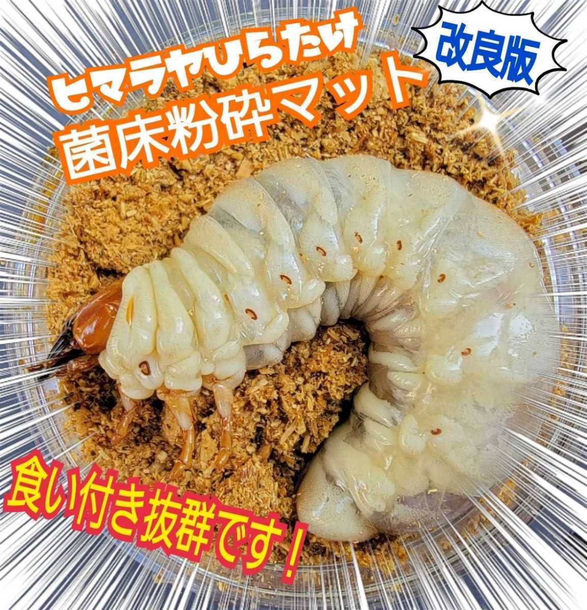 クワガタ幼虫の餌 改良版 菌床粉砕マット【5袋】瓶に詰めるだけ