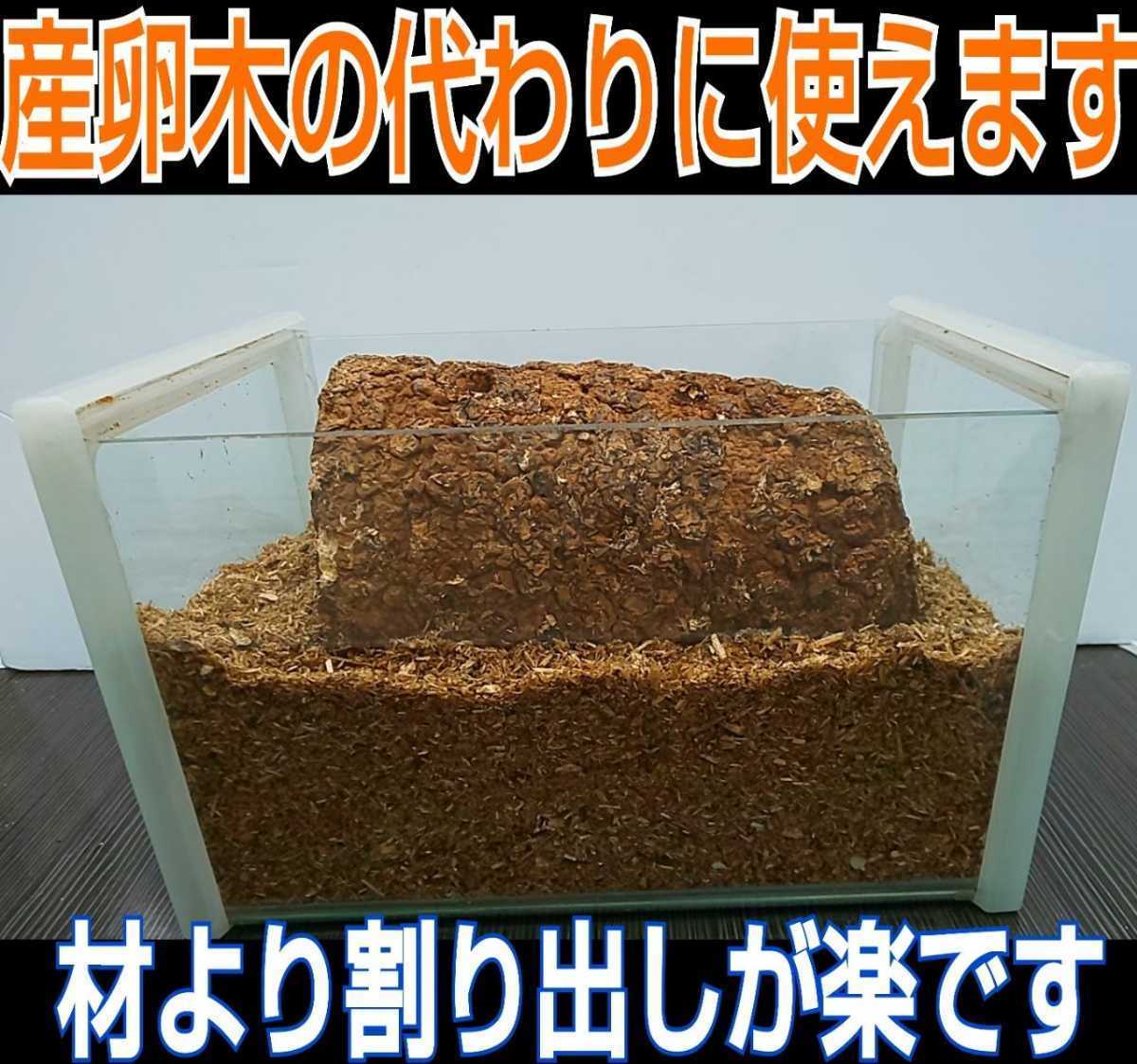  rhinoceros beetle larva. nutrition strengthen .!... floor block [2 piece ] sawtooth oak, 100% block. .. departure . mat . embed only . larva .mo Limo li meal ..!