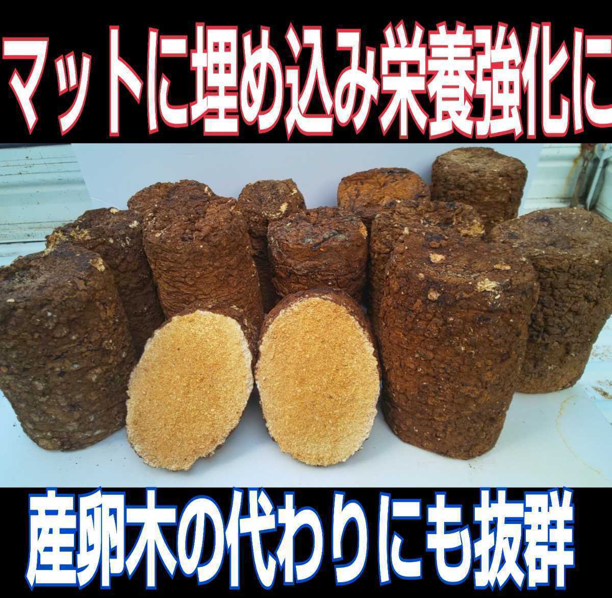 カブトムシ幼虫の栄養強化に！椎茸菌床ブロック【5個】クヌギ100％ ブロックのまま発酵マットに埋め込むだけで幼虫がモリモリ食べます！_画像1