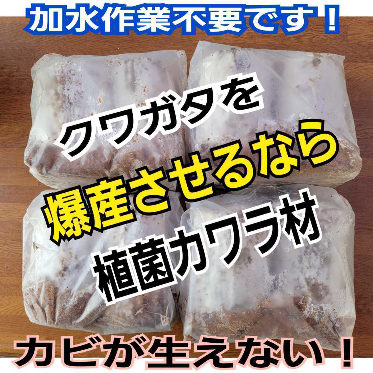 【年中無休】 極上!植菌カワラ材【6本】クワガタの産卵にはコレが最強です!タランドゥス・レギウス・オウゴンオニに!ドルクス系にも!材がカビない! マット、床材 【年中無休】 極上!植菌カワラ材【6本】クワガタの産卵にはコレが最強です!タランドゥス・レギウス・オウゴンオニに!ドルクス系にも!材がカビない! マット、床材