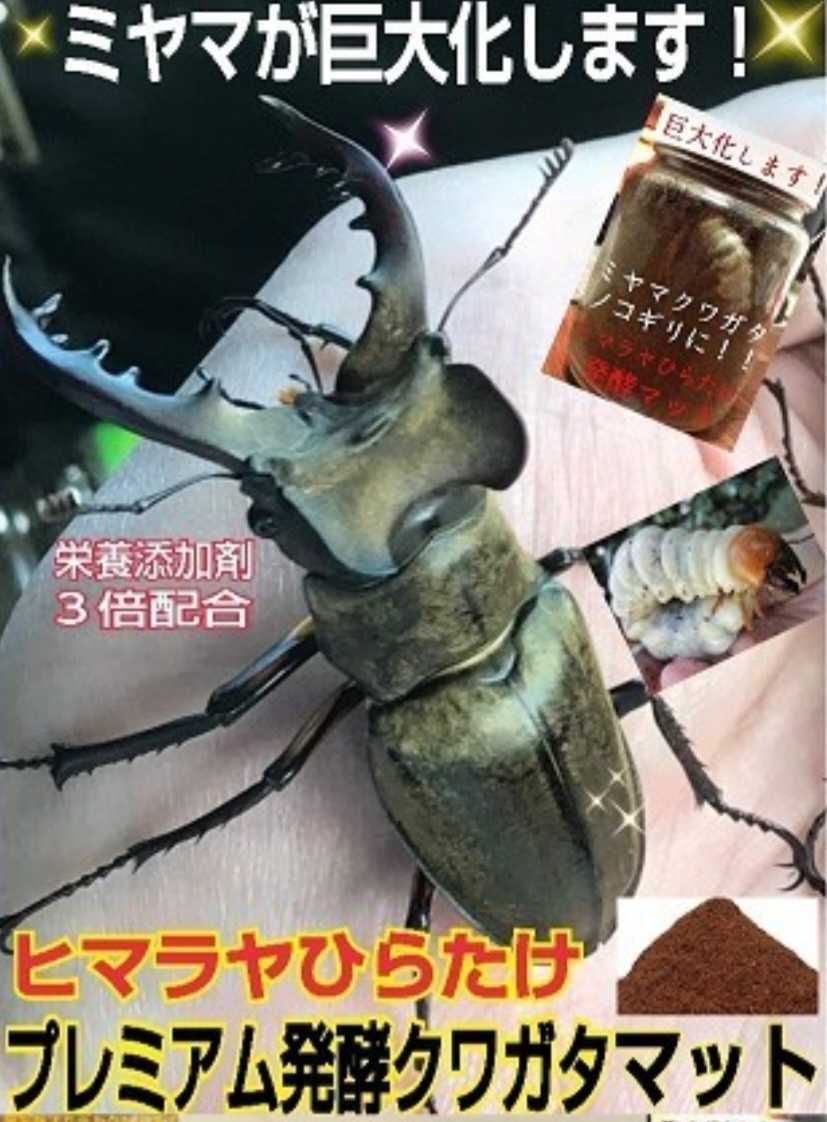 ミヤマクワガタに抜群！　進化した！プレミアム3次発酵マット【3袋】微粒子　トレハロース配合　産卵にも最適　ギネスサイズ羽化実績あり