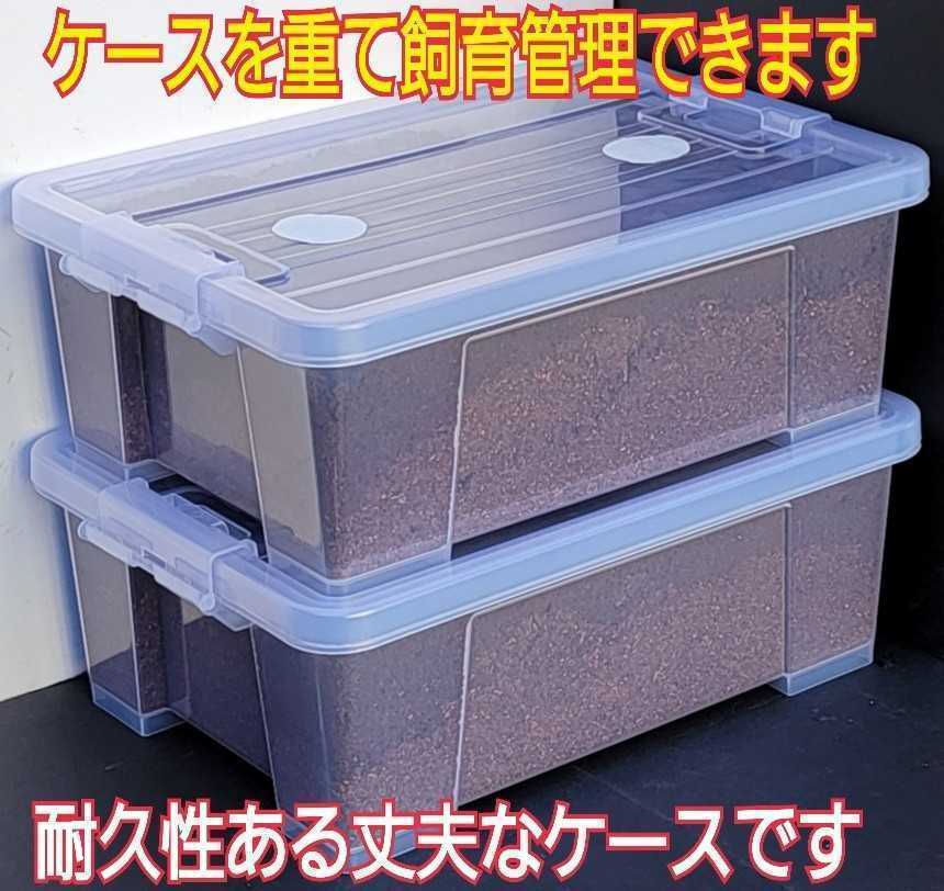 日本初の 【2セット】カブトムシ幼虫を入れるだけ☆便利!ケース入りプレミアム3次発酵マット 栄養添加剤配合で大きくなります 雑虫もわきません! セット 日本初の 【2セット】カブトムシ幼虫を入れるだけ☆便利!ケース入りプレミアム3次発酵マット 栄養添加剤配合で大きくなります 雑虫もわきません! セット