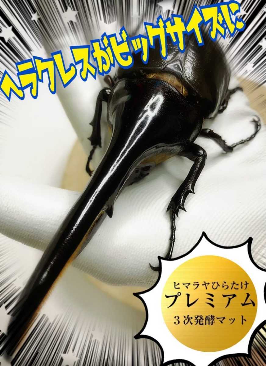 印象のデザイン 極上☆プレミアム3次発酵カブトムシマット【3袋】特殊
