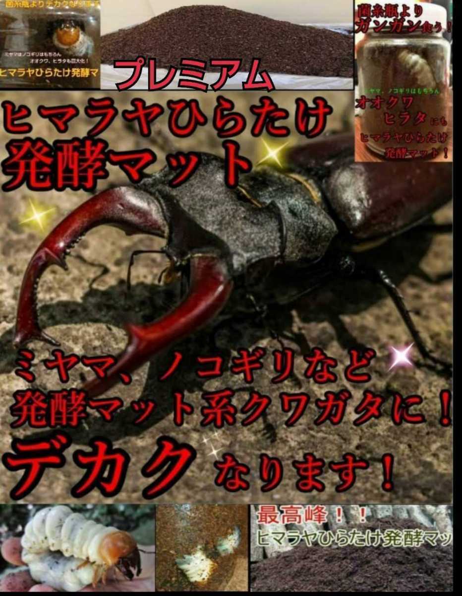  evolved! special selection premium 3 next departure . stag beetle mat nutrition addition agent * symbiosis bacteria 3 times combination!tore Hello s* special amino acid strengthen bin .... only 