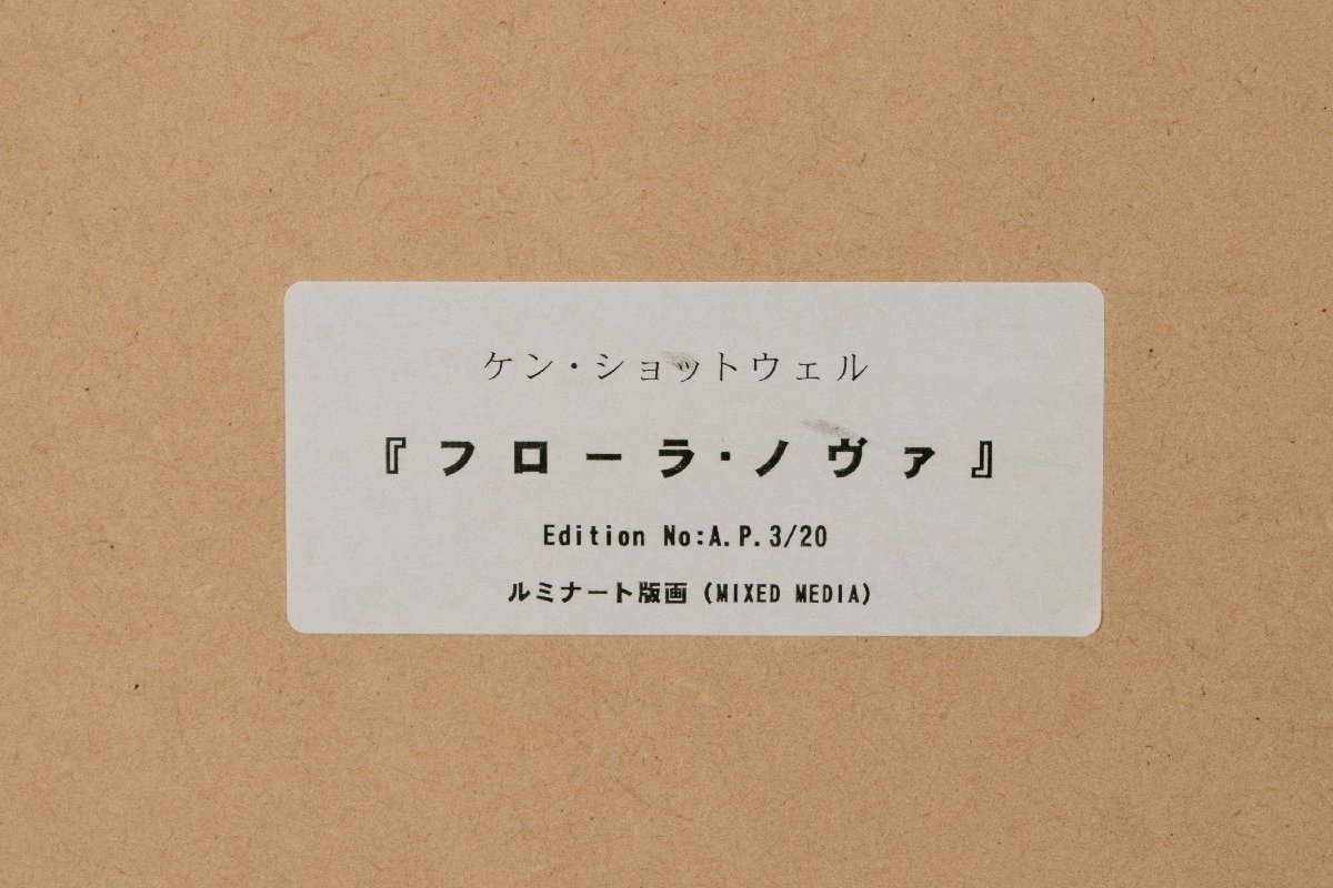 【MG凛 本物保証】元NASA職員が描く宇宙！『ケン・ショットウェル』 「フローラ・ノヴァ」 ルミナート版画3/20 10号 ダンボール箱_画像6