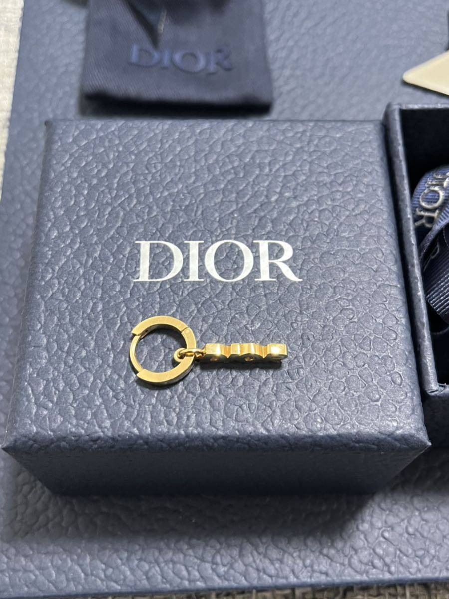 Dior ピアス ターコイズ メンズ シングル 片耳 - ピアス(片耳用)