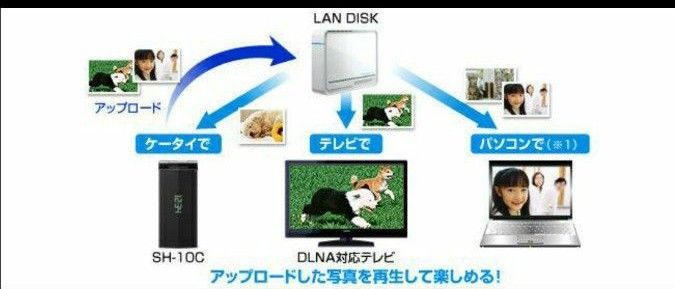 【中古】USB/LAN接続(NAS)可能 外付け1.5TB HDD