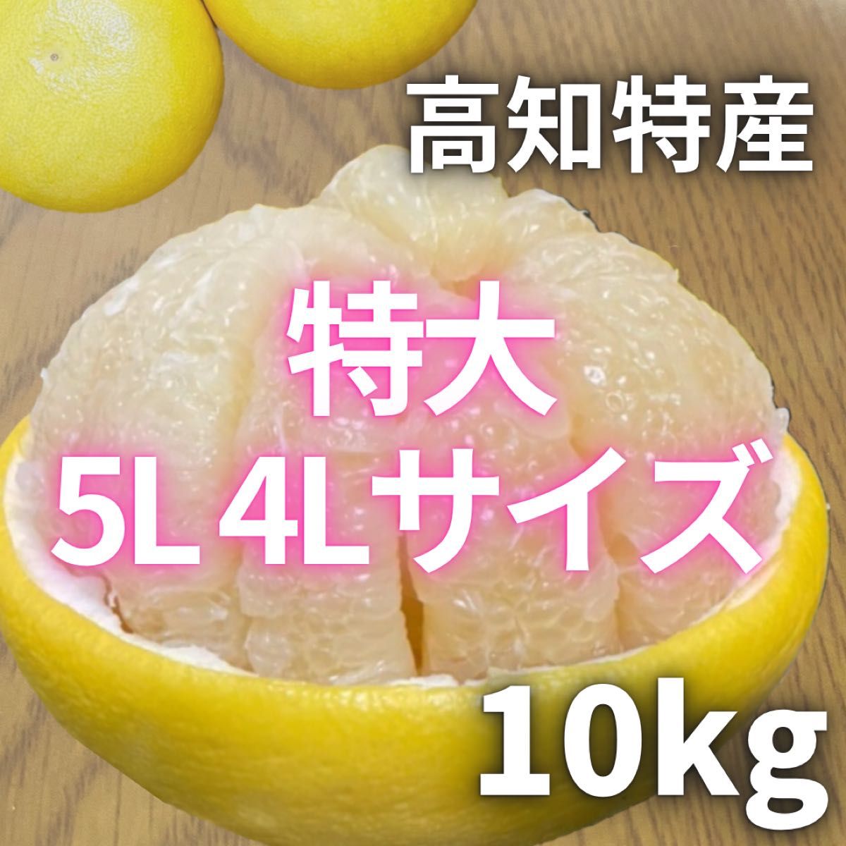 ⑭高知特産 露地栽培 土佐文旦 約10kg 文旦 特大サイズ