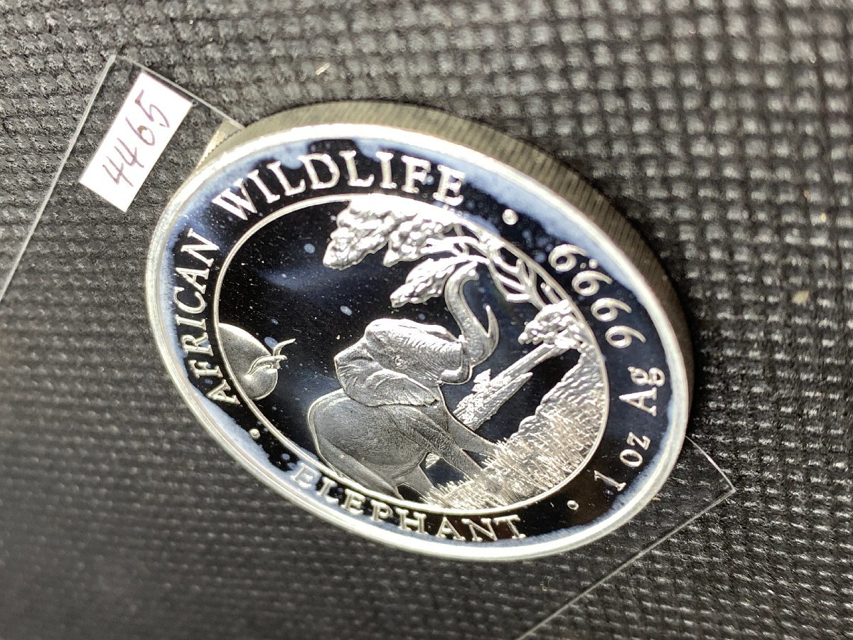 31.1グラム 2019年（新品）ソマリア・アフリカ 「 像・ゾウ 」純銀 1オンス 銀貨の画像3