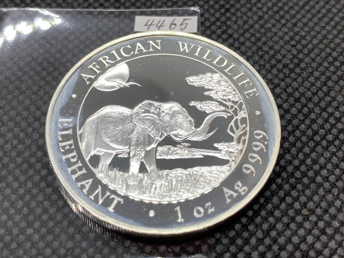 31.1グラム 2019年（新品）ソマリア・アフリカ 「 像・ゾウ 」純銀 1オンス 銀貨の画像1
