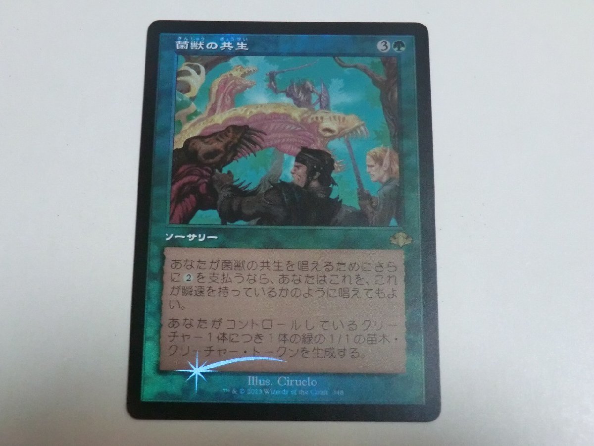 MTG 美品 【菌獣の共生（旧枠FOIL）】 （レア） ドミナリア・リマスター DMR 日 1枚迄_画像1