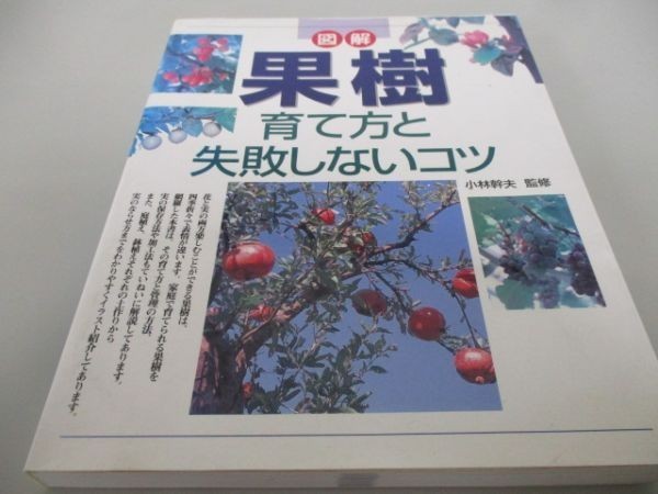  illustration fruit tree -.. person . failure not doing kotsuyo0412-bd3-ba216113