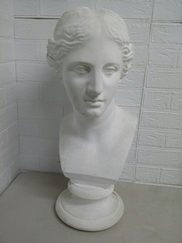 Yahoo!オークション - 3 ミロのヴィーナス 石膏像 胸像 デッサン 彫刻
