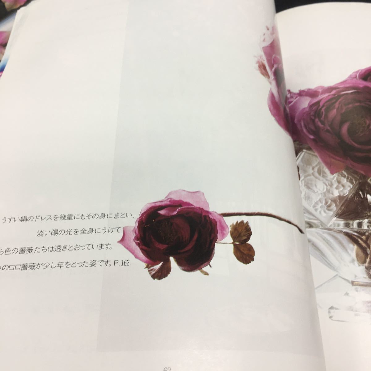 f-758 mountain on ..( cloth flower ) rose eyes next 6- black rose 92 8-... color. small rose 94 another... 1983 year 9 month 18 day issue *9