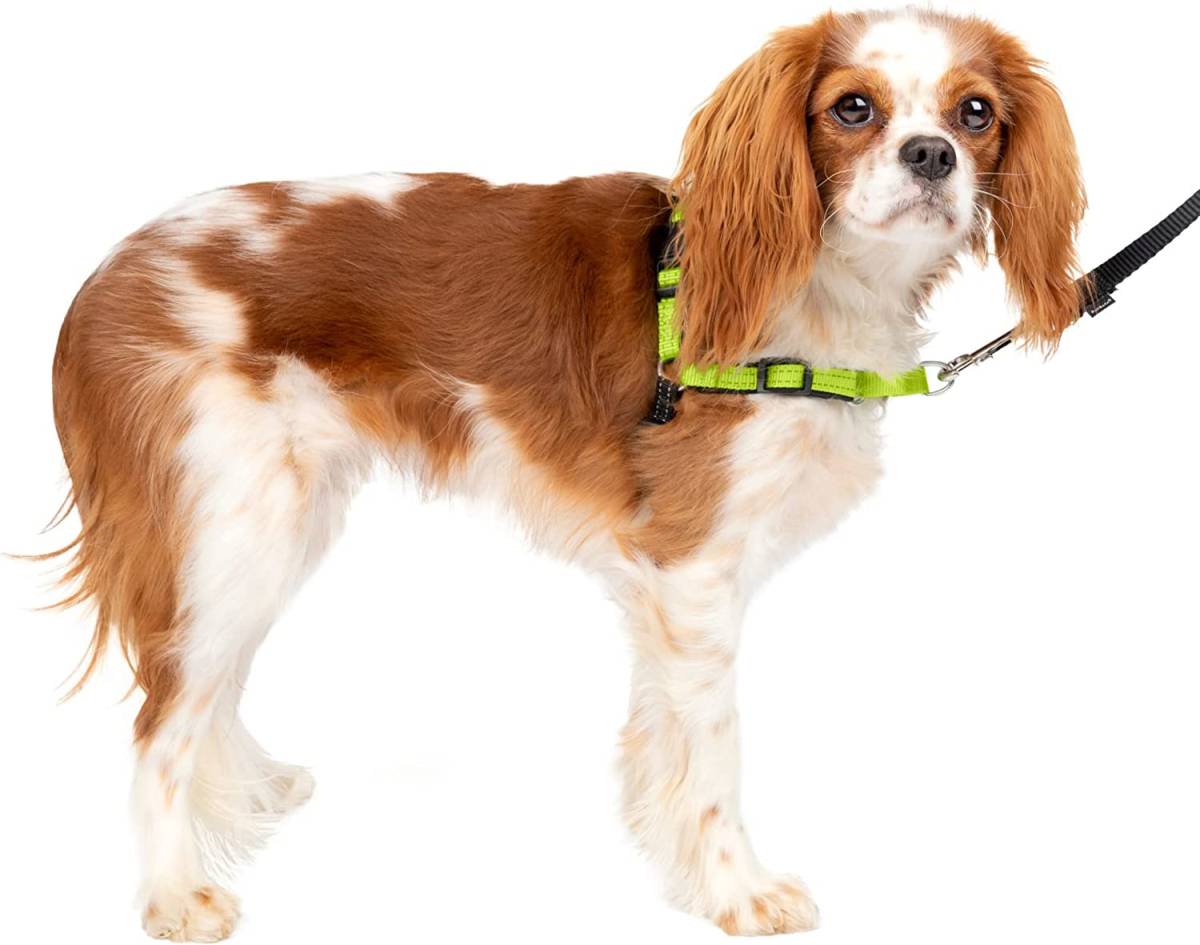 S アップルグリーン/ブラック [ ペットセーフ ] PetSafe 犬用 ハーネス デラックス イージーウォークハーネス 小型犬