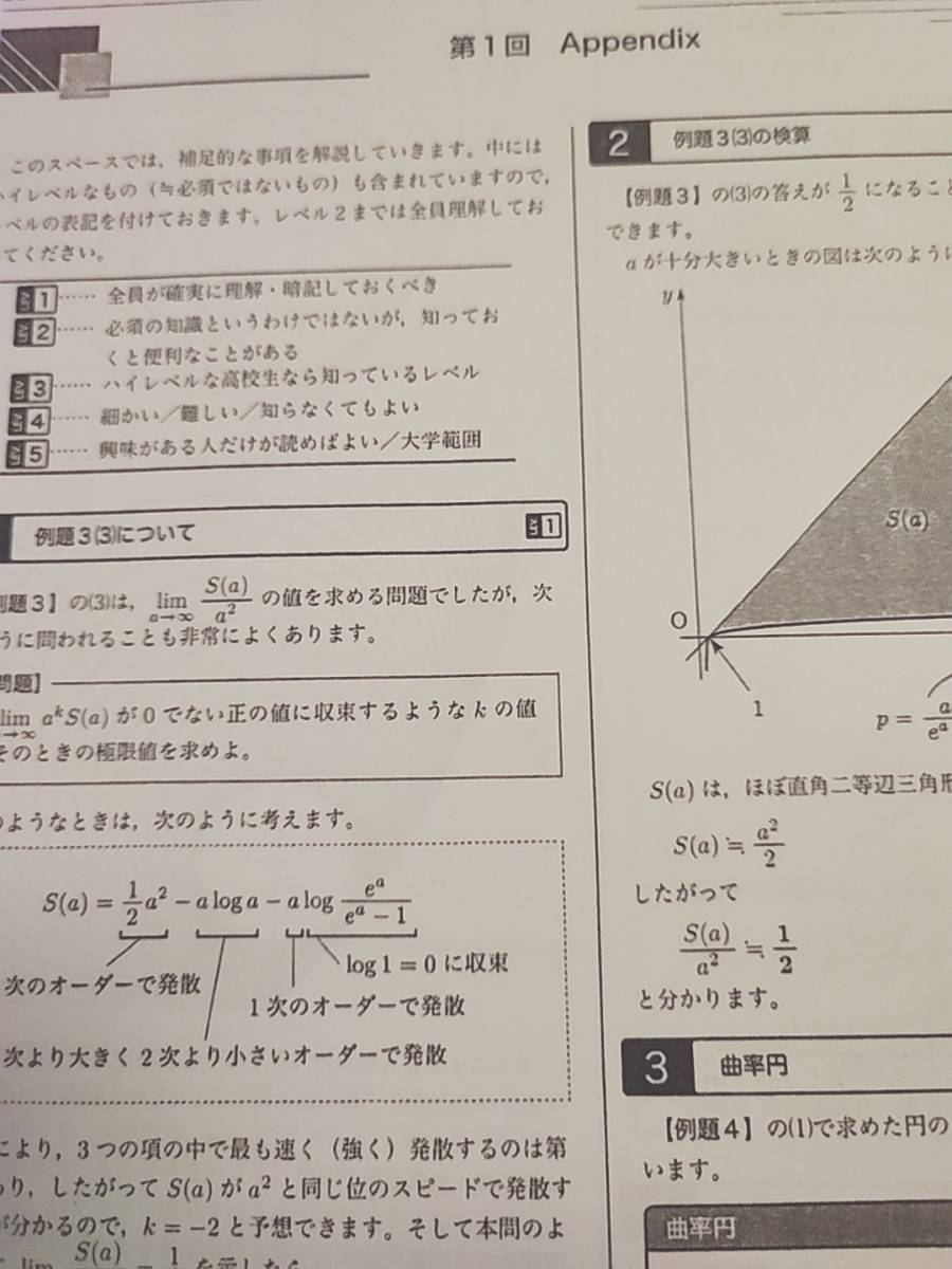 鉄緑会　李先生　数学実戦講座Ⅲ　Appendix集　数Ⅲ強化　上位クラス　河合塾　駿台　Z会　東進 　SEG_画像2